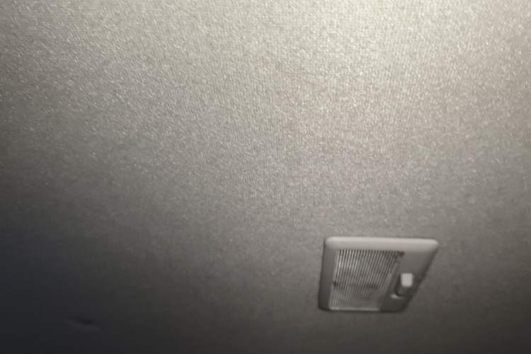 Used ORA White Cat 2020 401 km Flagship Version Headliner