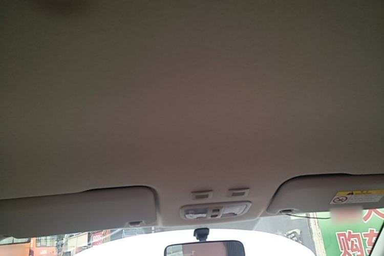 Used ORA White Cat 2020 360 km Luxury Version Headliner