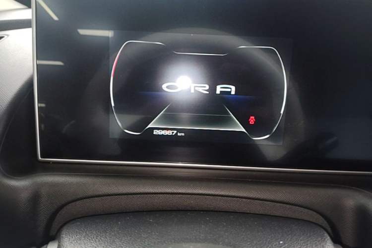 Used ORA White Cat 2020 305 km Luxury Version Instrument Cluster