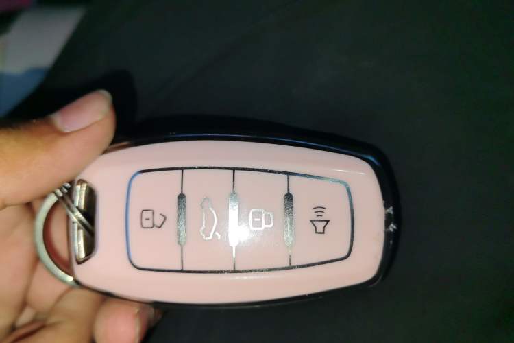 Used ORA White Cat 2020 305 km Luxury Version Interior 1