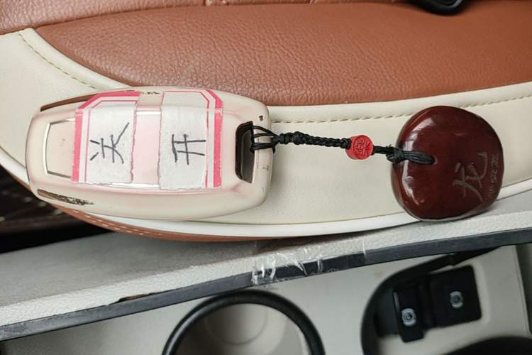 Used ORA White Cat 2020 305 km Luxury Version Interior 1