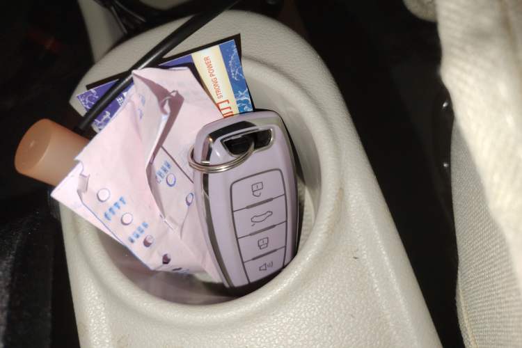Used ORA White Cat 2020 360km Standard Version Interior 1