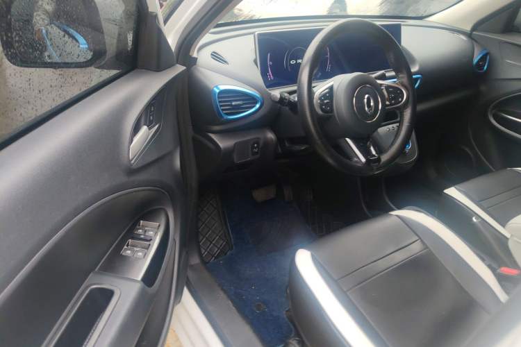 Used ORA White Cat 2020 360km Standard Version Interior 2