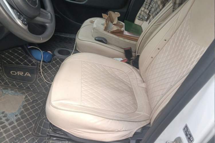 Used ORA White Cat 2020 305 km Luxury Version Interior 3