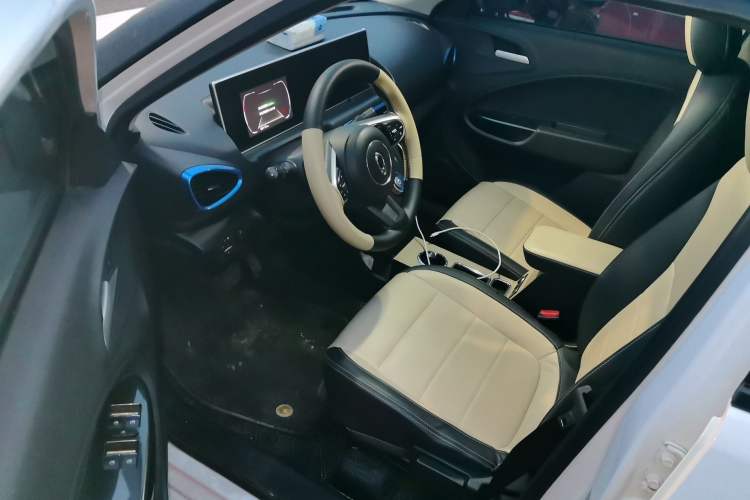 Used ORA White Cat 2020 305 km Luxury Version Interior 3
