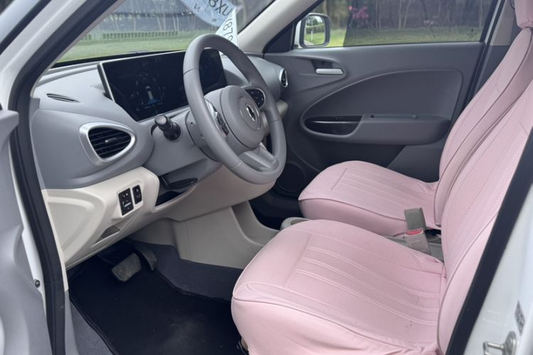 Used ORA White Cat 2020 360 km Luxury Version Interior 3
