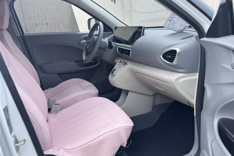 Used ORA White Cat 2020 360 km Luxury Version Interior 6