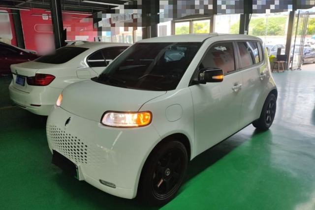 Used ORA White Cat 2020 305 km Luxury Version