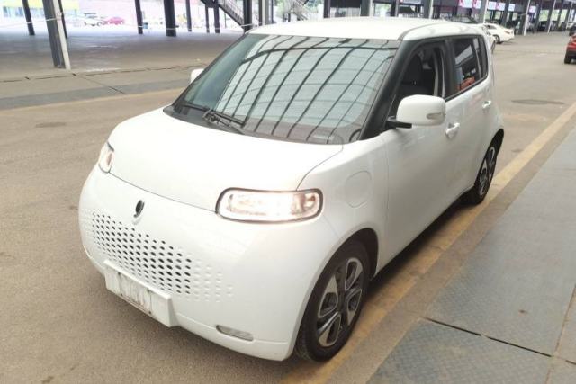 Used ORA White Cat 2020 305 km Luxury Version