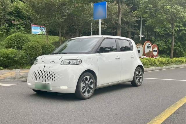 Used ORA White Cat 2020 401 km Flagship Version