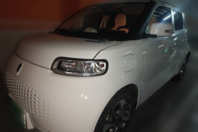 Used ORA White Cat 2020 305 km Luxury Version