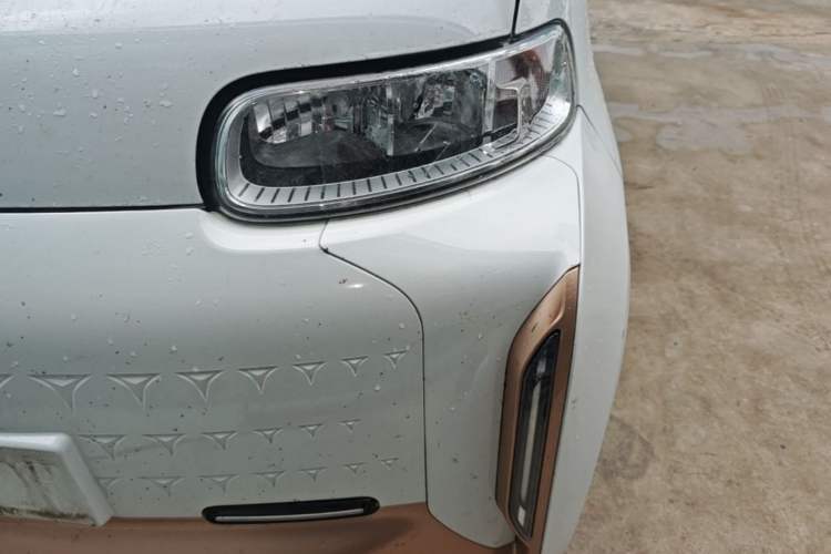 Used ORA White Cat 2020 360 km Luxury Version Left Front Headlight