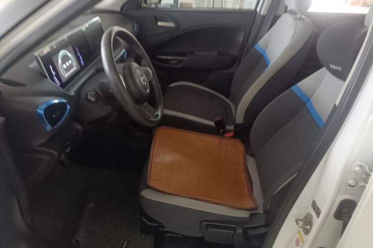 Used ORA White Cat 2020 360 km Luxury Version Left Front Seat