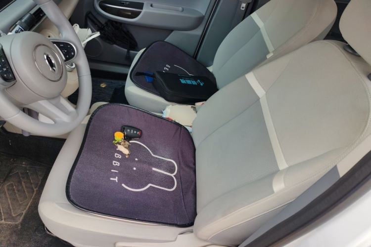 Used ORA White Cat 2020 305 km Luxury Version Left Front Seat