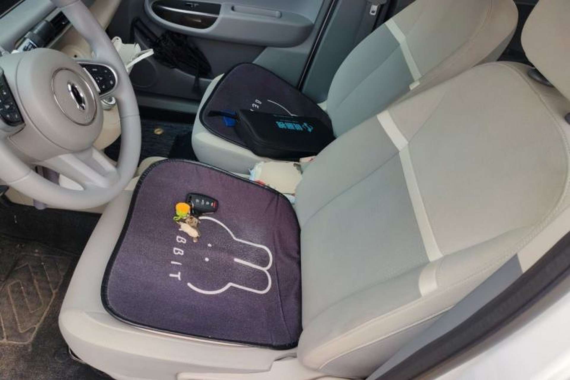 Used ORA White Cat 2020 305 km Luxury Version Left Front Seat