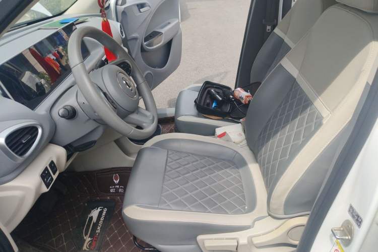 Used ORA White Cat 2020 401 km Flagship Version Left Front Seat
