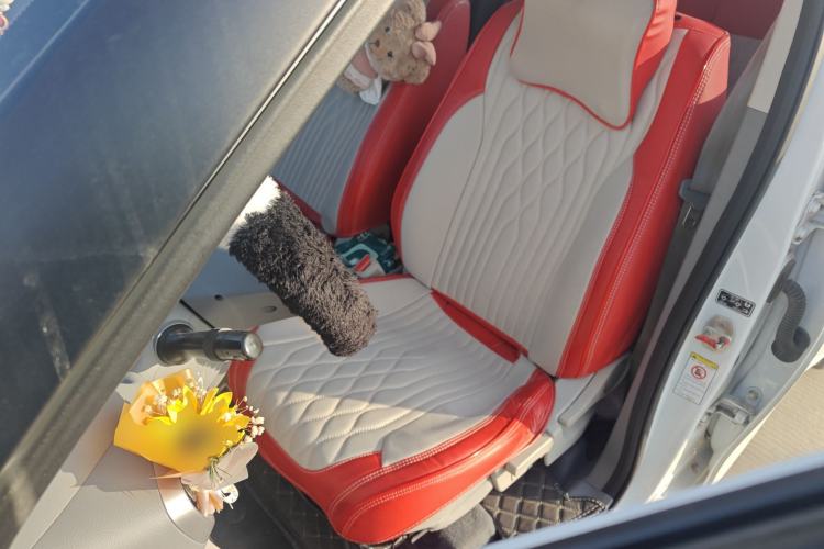 Used ORA White Cat 2020 305 km Luxury Version Left Front Seat