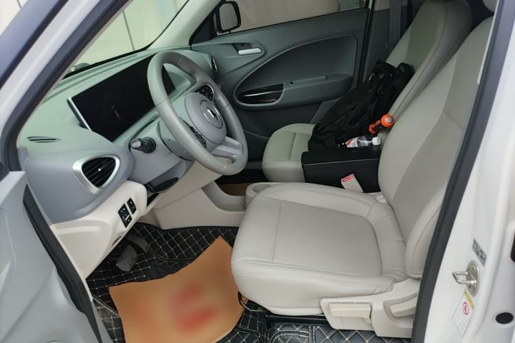 Used ORA White Cat 2020 360 km Luxury Version Left Front Seat