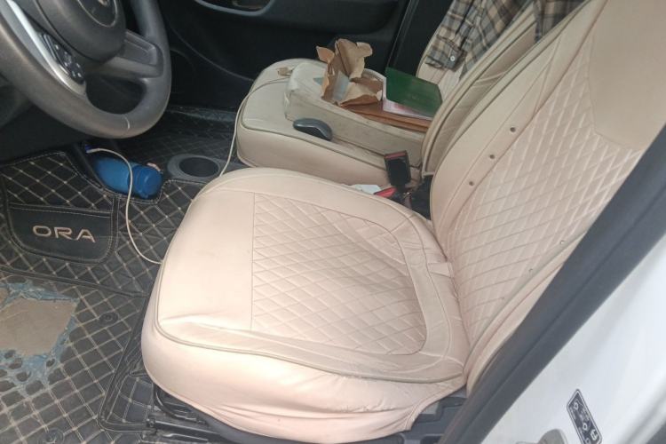 Used ORA White Cat 2020 305 km Luxury Version Left Front Seat