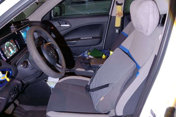 Used ORA White Cat 2020 305 km Luxury Version Left Front Seat