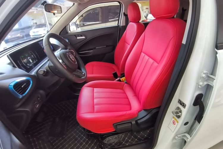 Used ORA White Cat 2020 305 km Luxury Version Left Front Seat