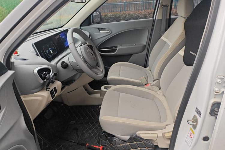 Used ORA White Cat 2020 305 km Luxury Version Left Front Seat
