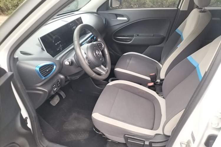 Used ORA White Cat 2020 360 km Luxury Version Left Front Seat