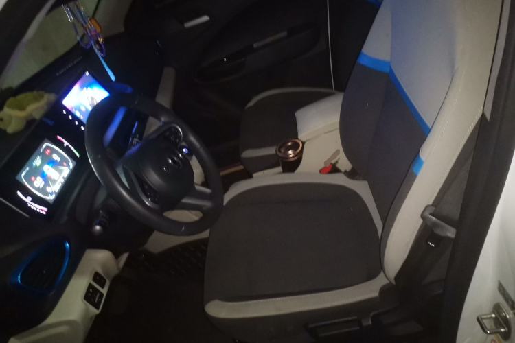 Used ORA White Cat 2020 305 km Luxury Version Left Front Seat
