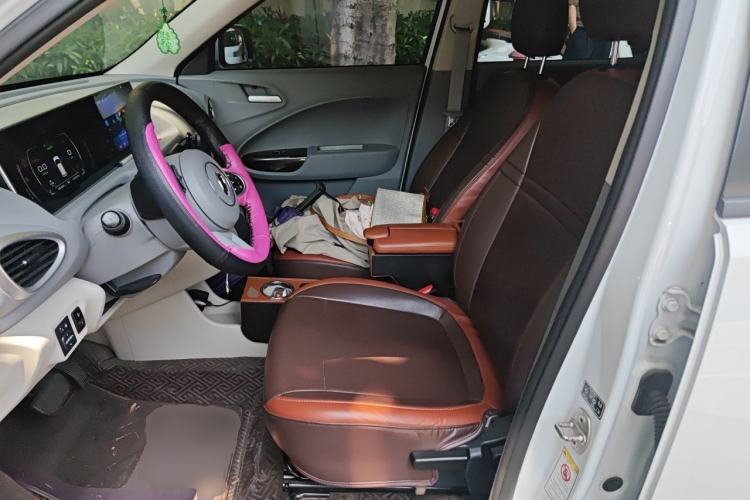 Used ORA White Cat 2020 305 km Luxury Version Left Front Seat