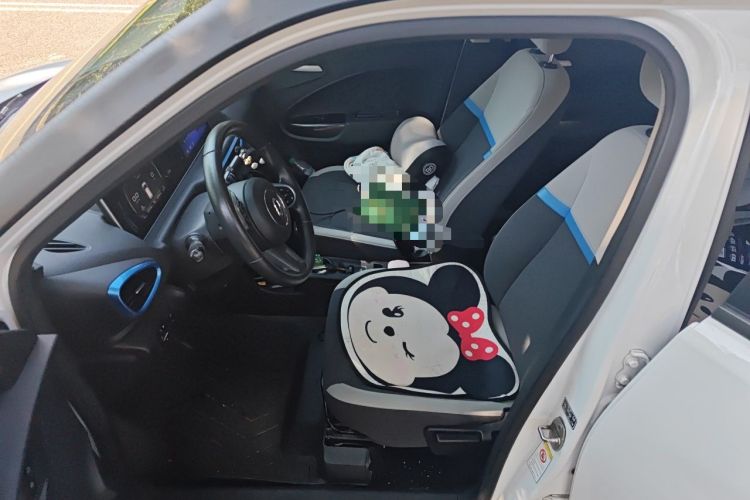 Used ORA White Cat 2020 305 km Luxury Version Left Front Seat