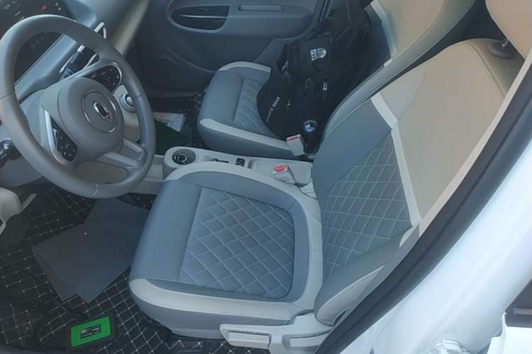 Used ORA White Cat 2020 401 km Flagship Version Left Front Seat