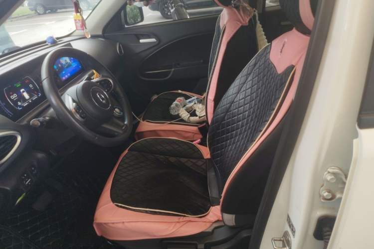 Used ORA White Cat 2020 305 km Luxury Version Left Front Seat