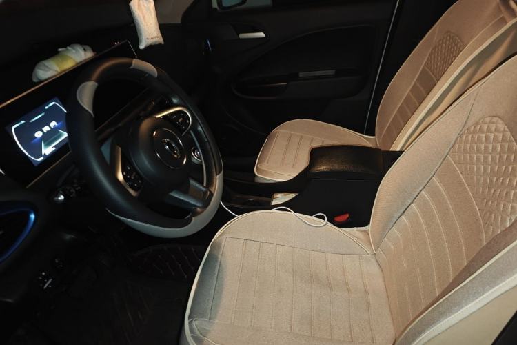 Used ORA White Cat 2020 305 km Luxury Version Left Front Seat