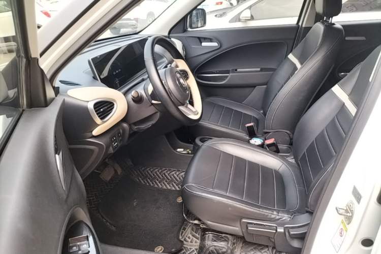Used ORA White Cat 2020 305 km Luxury Version Left Front Seat
