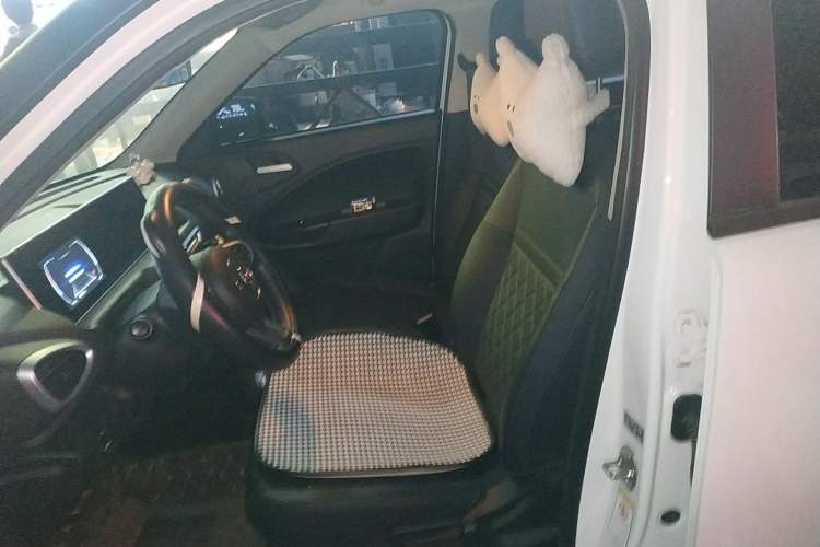 Used ORA White Cat 2020 401 km Long-Range Version Left Front Seat