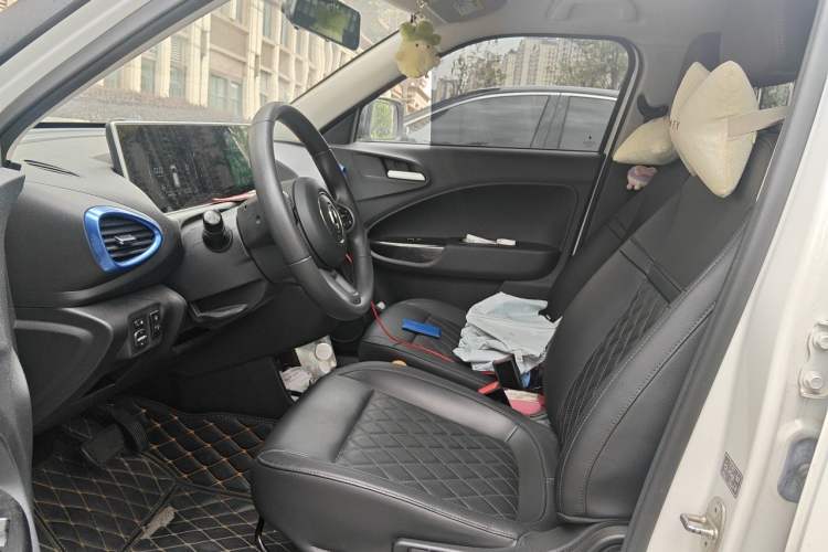 Used ORA White Cat 2020 401 km Long-Range Version Left Front Seat