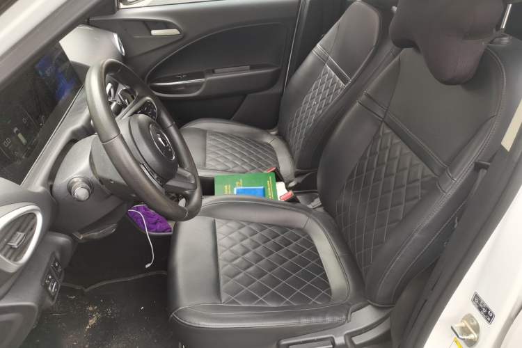 Used ORA White Cat 2020 401 km Long-Range Version Left Front Seat