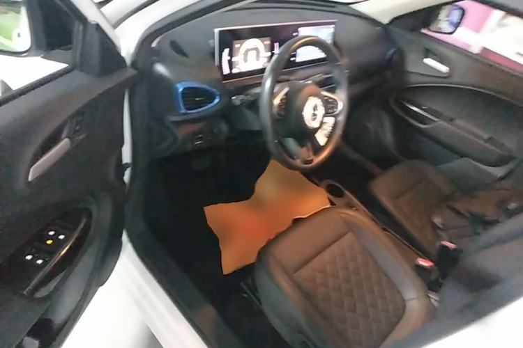 Used ORA White Cat 2020 401 km Long-Range Version Left Front Seat