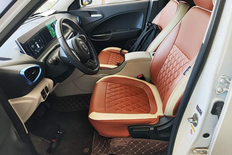 Used ORA White Cat 2020 305 km Luxury Version Left Front Seat