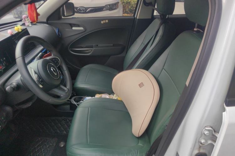 Used ORA White Cat 2020 305 km Luxury Version Left Front Seat