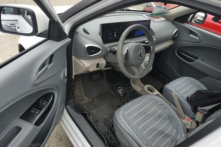Used ORA White Cat 2020 360km Standard Version Left Front Seat
