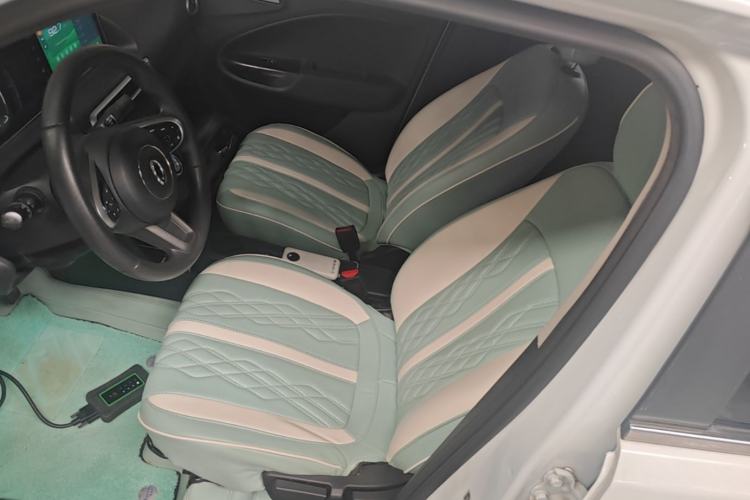 Used ORA White Cat 2020 305 km Luxury Version Left Front Seat