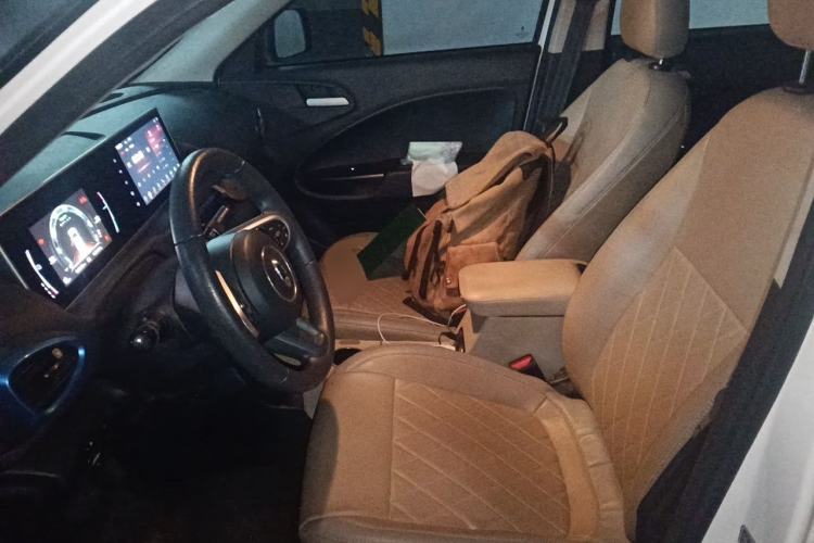 Used ORA White Cat 2020 305 km Luxury Version Left Front Seat