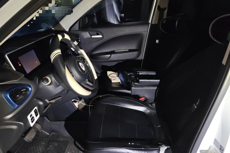 Used ORA White Cat 2020 305 km Luxury Version Left Front Seat