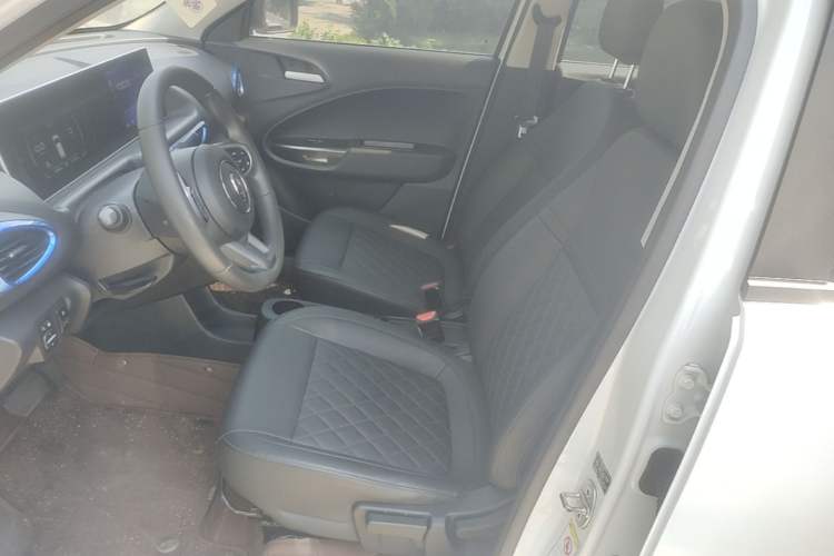 Used ORA White Cat 2020 401 km Long-Range Version Left Front Seat