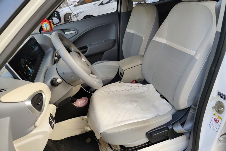 Used ORA White Cat 2020 305 km Luxury Version Left Front Seat