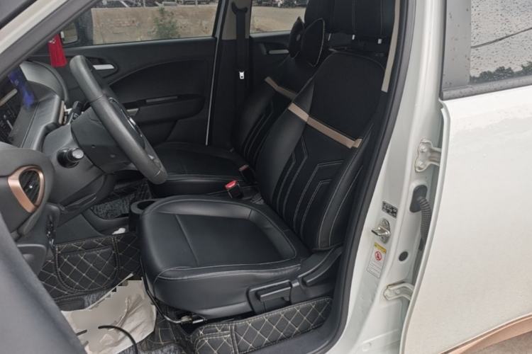 Used ORA White Cat 2020 360 km Luxury Version Left Front Seat