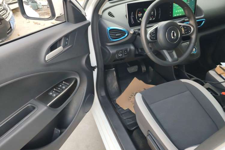 Used ORA White Cat 2020 305 km Luxury Version Left Front Seat