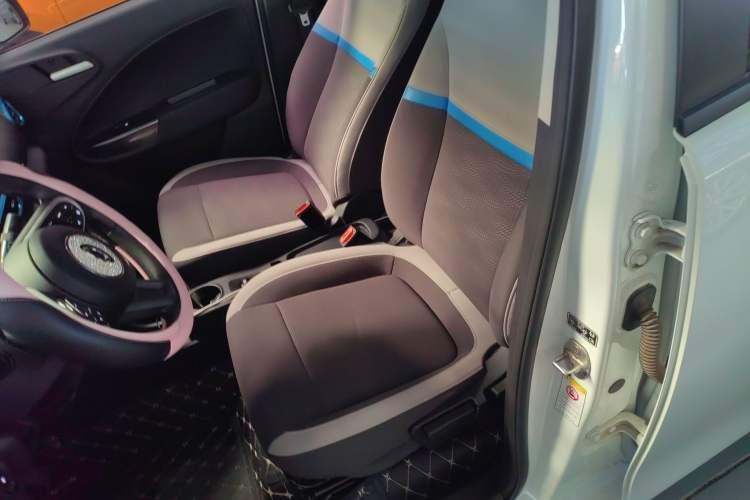 Used ORA White Cat 2020 305 km Luxury Version Left Front Seat