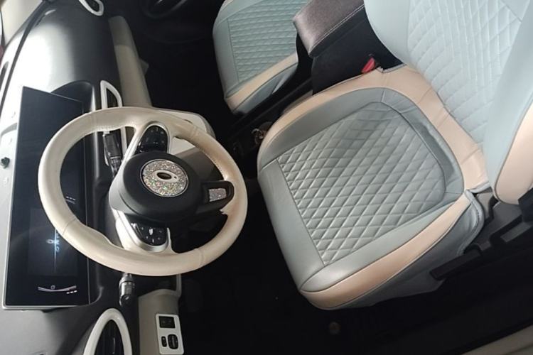 Used ORA White Cat 2020 305 km Luxury Version Left Front Seat